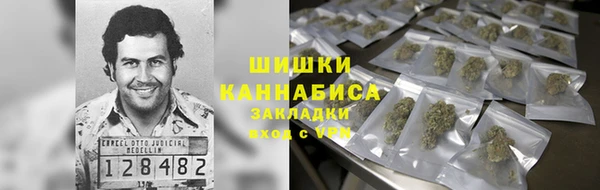 винт Алзамай